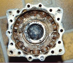 Hinterteil1.jpg (21404 Byte)